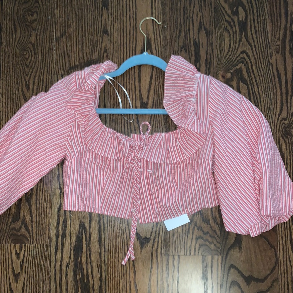Red zara crop top